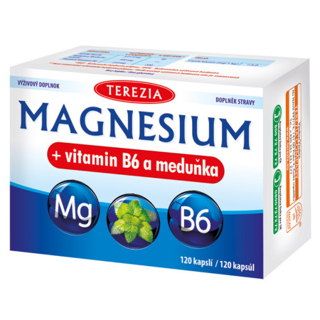 TEREZIA Magnézium + vitamin B6 a medovka 120 ks v zľave